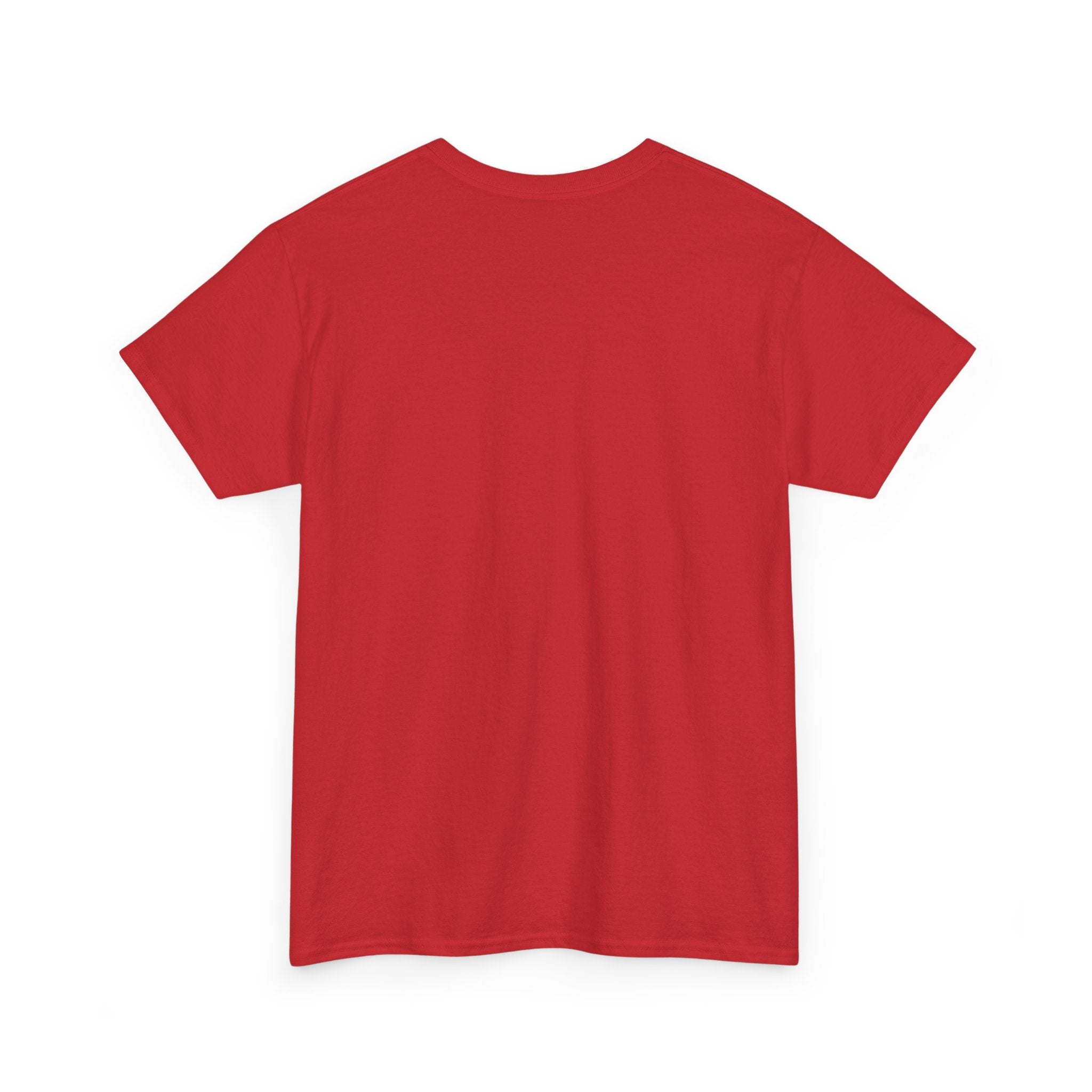 Diabolical Graphic Tee — 'The Dudes Have a Plan' Superhero Tribute T-Shirt